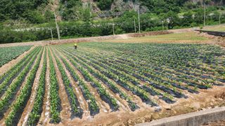 전용표님의 자유주제 · 자유게시판 작성글 사진