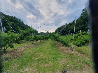 농부님의 자유주제 · 자유게시판 작성글 사진