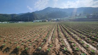 전용표님의 자유주제 · 자유게시판 작성글 사진