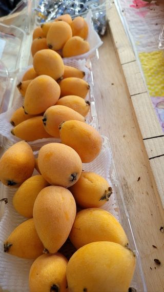 김상철님의 자유주제 · 자유게시판 작성글 사진