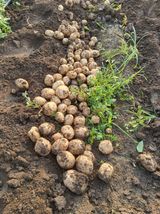 팜모닝 자유주제·자유게시판 게시글 이미지