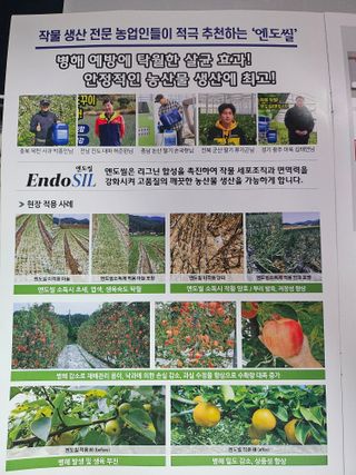 대산농사대장님의 고추 · 비료•농약 작성글 사진