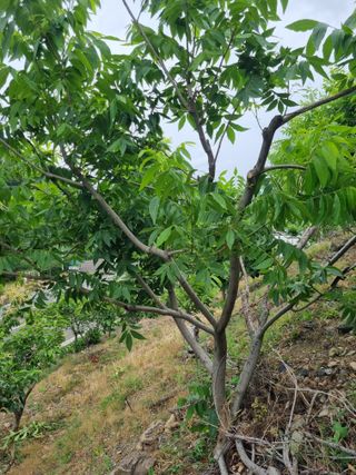 김용대님의 자유주제 · 자유게시판 작성글 사진