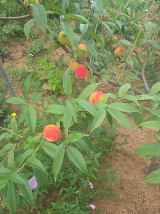 자연인님의 자유주제 · 자유게시판 작성글 사진