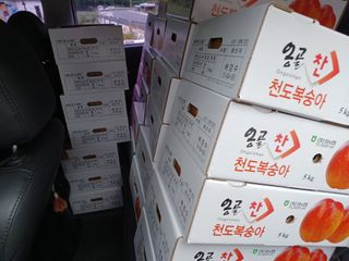 배경수 님의 자유주제 · 자유게시판 작성글 사진