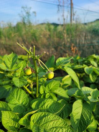 권석민님의 자유주제 · 자유게시판 작성글 사진