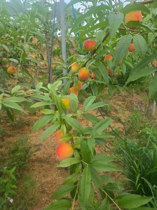 자연인님의 자유주제 · 자유게시판 작성글 사진