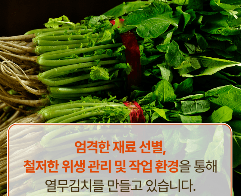 스피드번님의 장터 판매 상품 [열무김치 / 열무물김치 (국산 100%)] 첨부 사진