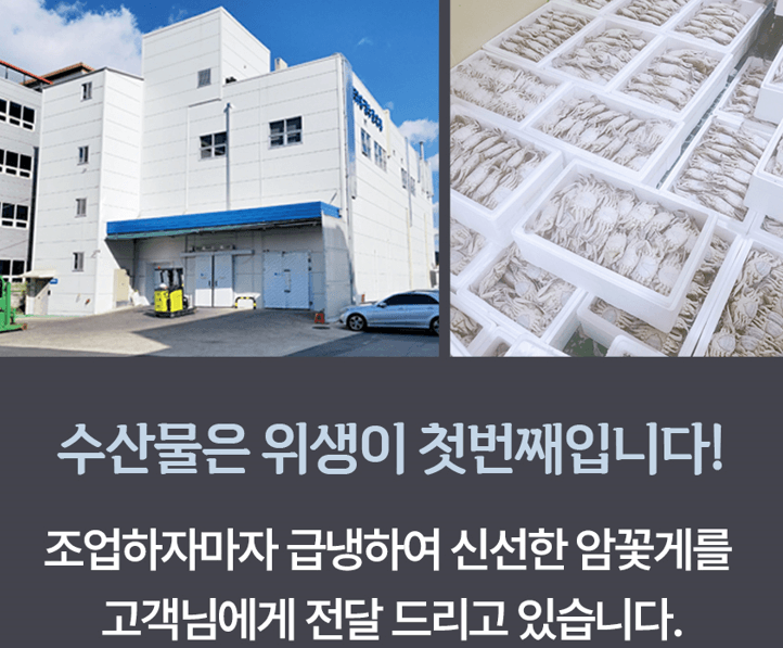 스피드번님의 장터 판매 상품 [연평도 급냉 암꽃게] 첨부 사진