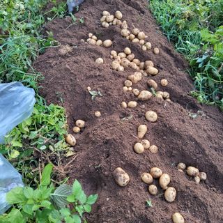 들깨9417님의 자유주제 · 자유게시판 작성글 사진