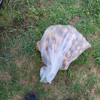 들깨9417님의 자유주제 · 자유게시판 작성글 사진