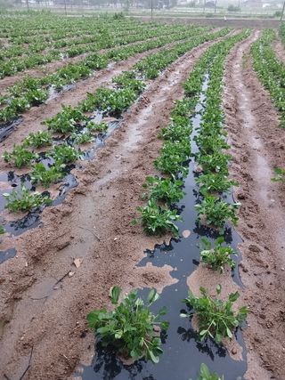 전국하님의 자유주제 · 자유게시판 작성글 사진