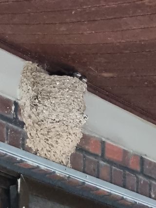 정석범님의 자유주제 · 자유게시판 작성글 사진