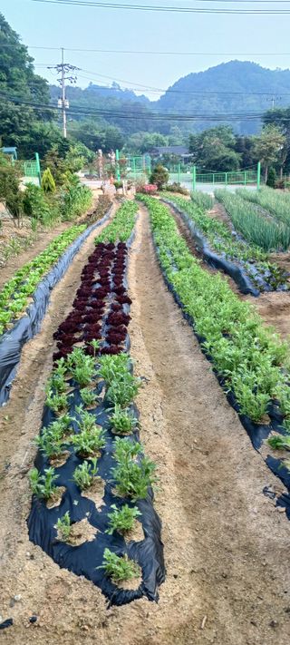 김두현님의 자유주제 · 사진전 작성글 사진