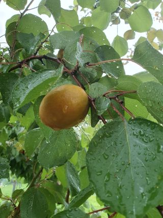 차상철님의 기타작물 · 자유게시판 작성글 사진