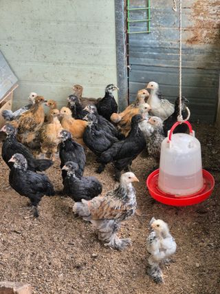 천운산님의 자유주제 · 자유게시판 작성글 사진