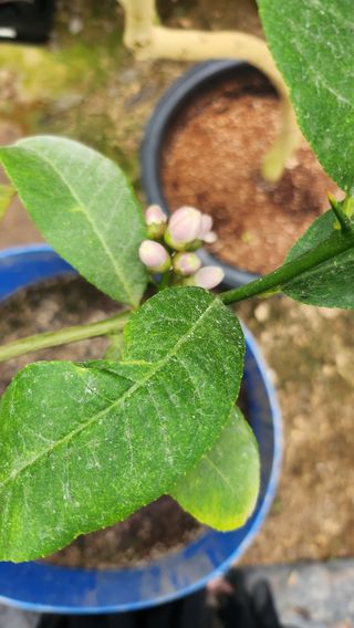 정미리님의 자유주제 · 자유게시판 작성글 사진