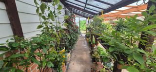 달맛햇복숭아농원님의 자유주제 · 사진전 작성글 사진