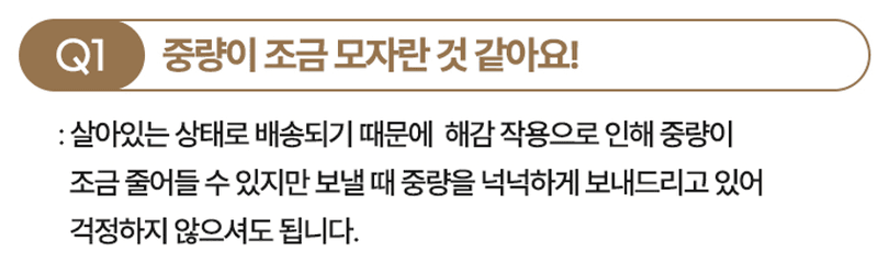 스피드번님의 장터 판매 상품 [(특가) 완도 활전복] 첨부 사진
