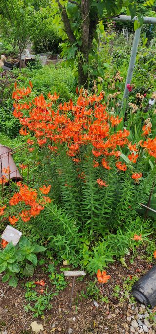 고추건조기부품판매님의 자유주제 · 자유게시판 작성글 사진