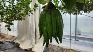 정미리님의 자유주제 · 자유게시판 작성글 사진