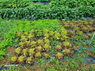 권오정님의 자유주제 · 자유게시판 작성글 사진