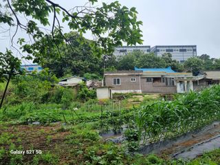 권오정님의 자유주제 · 자유게시판 작성글 사진