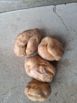 장래호님의 자유주제 · 자유게시판 작성글 사진