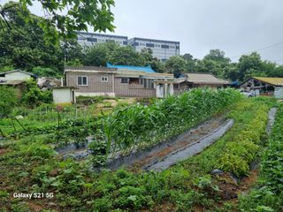 권오정님의 자유주제 · 자유게시판 작성글 사진