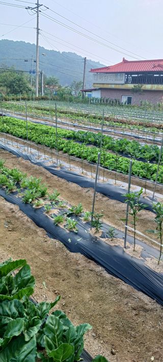 김두현님의 자유주제 · 사진전 작성글 사진