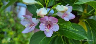 달맛햇복숭아농원님의 자유주제 · 사진전 작성글 사진