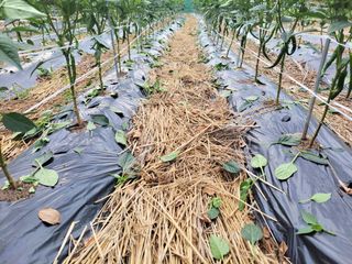 이시형님의 자유주제 · 자유게시판 작성글 사진