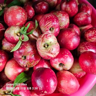 김정우님의 자유주제 · 건의해요 작성글 사진