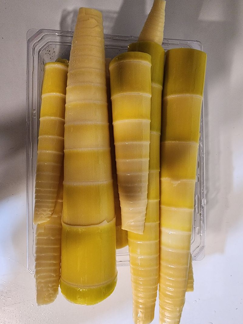 장터 상품 [삶은죽순2025년산1kg] 썸네일