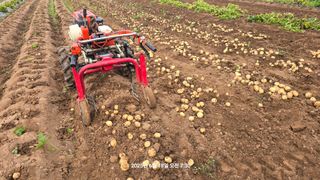 황규복(달구지)님의 자유주제 · 자유게시판 작성글 사진
