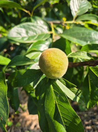 하율할미님의 자유주제 · 자유게시판 작성글 사진