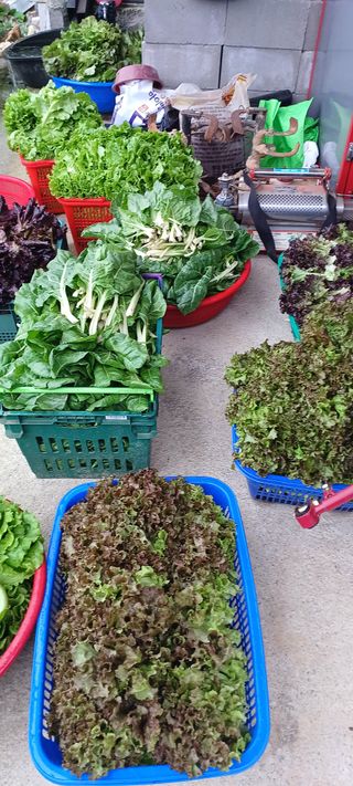 김두현님의 자유주제 · 사진전 작성글 사진