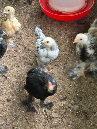 천운산님의 자유주제 · 자유게시판 작성글 사진