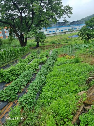 권오정님의 자유주제 · 자유게시판 작성글 사진