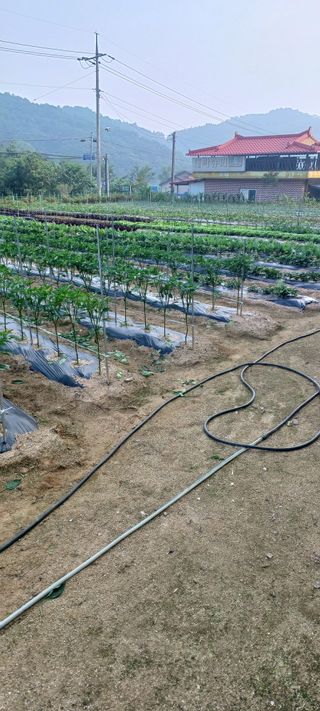 김두현님의 자유주제 · 사진전 작성글 사진