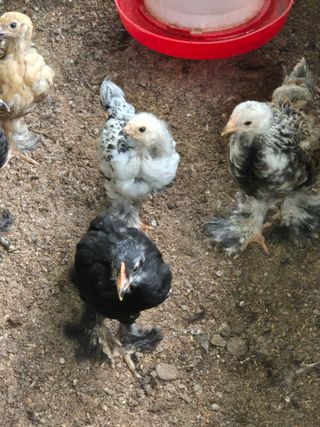 천운산님의 자유주제 · 자유게시판 작성글 사진