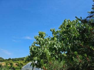김강호님의 자유주제 · 자유게시판 작성글 사진