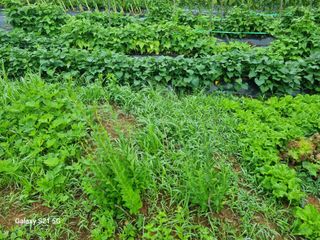 권오정님의 자유주제 · 자유게시판 작성글 사진