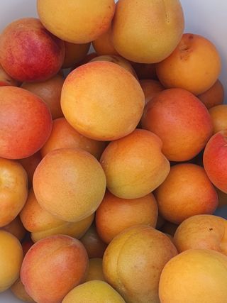 차상철님의 기타작물 · 자유게시판 작성글 사진