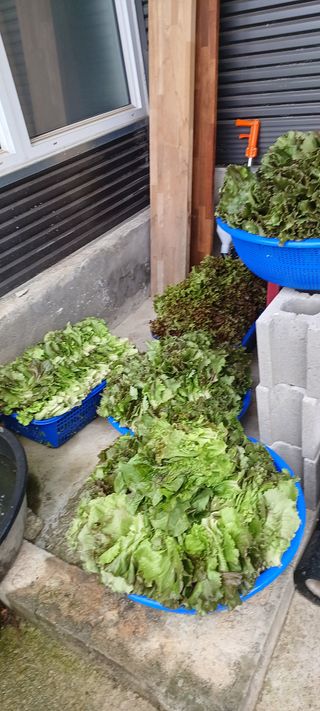 김두현님의 자유주제 · 사진전 작성글 사진