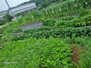 권오정님의 자유주제 · 자유게시판 작성글 사진