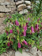 팜모닝 자유주제·자유게시판 게시글 이미지