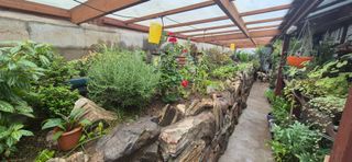 달맛햇복숭아농원님의 자유주제 · 사진전 작성글 사진