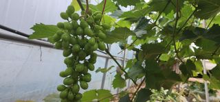 나으살던고향님의 자유주제 · 자유게시판 작성글 사진