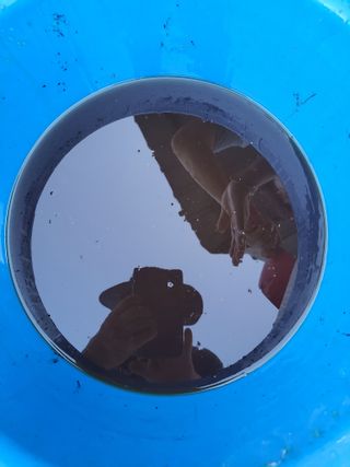 이시형님의 자유주제 · 자유게시판 작성글 사진